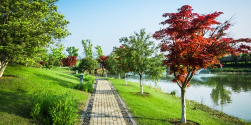 nature outdoor park and street road footpath