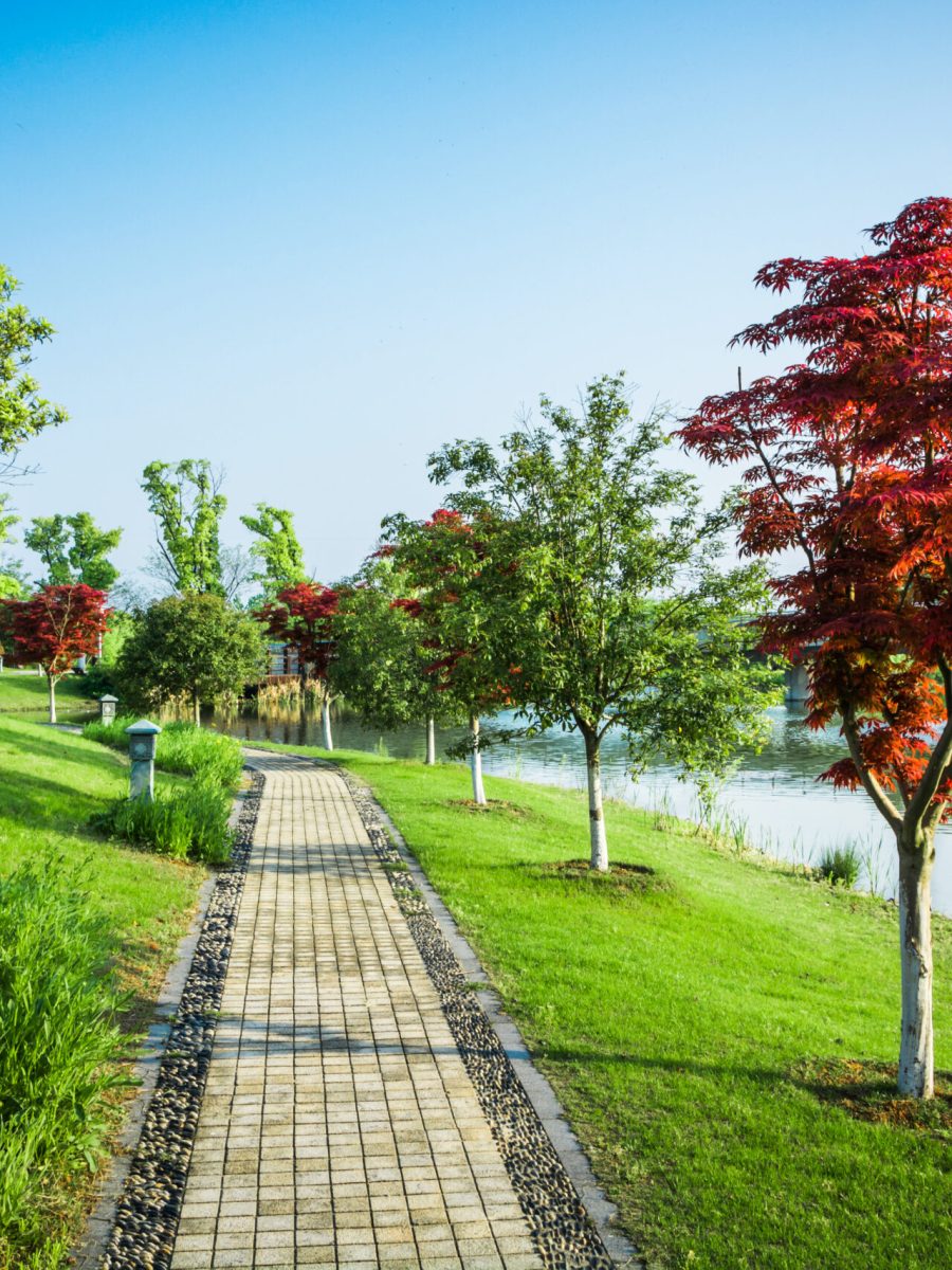 nature outdoor park and street road footpath