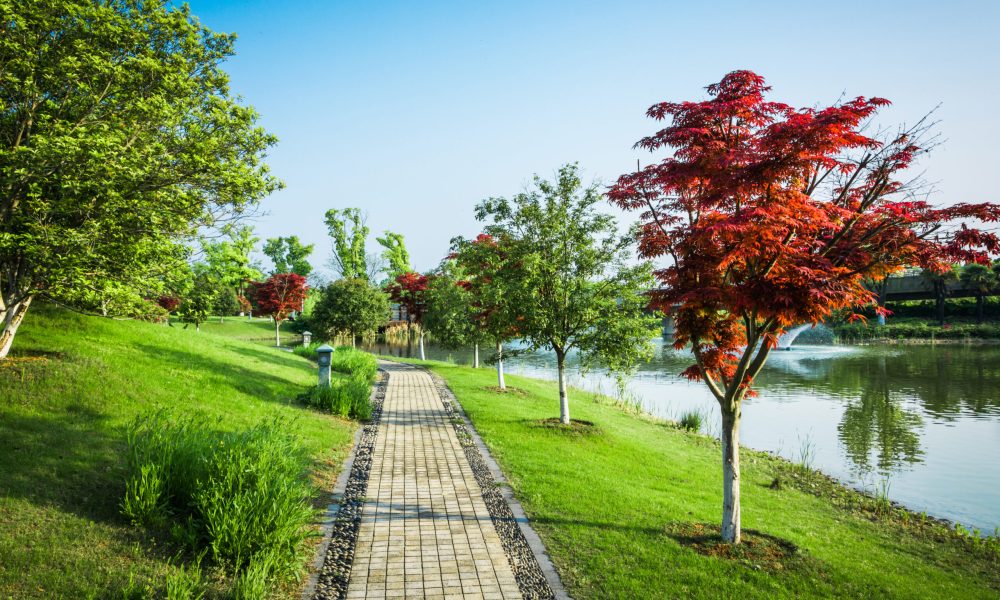 nature outdoor park and street road footpath